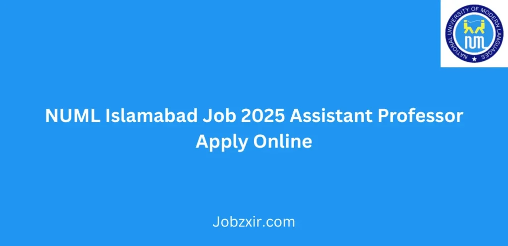 NUML Islamabad Job 2025 Assistant Professor Apply Online